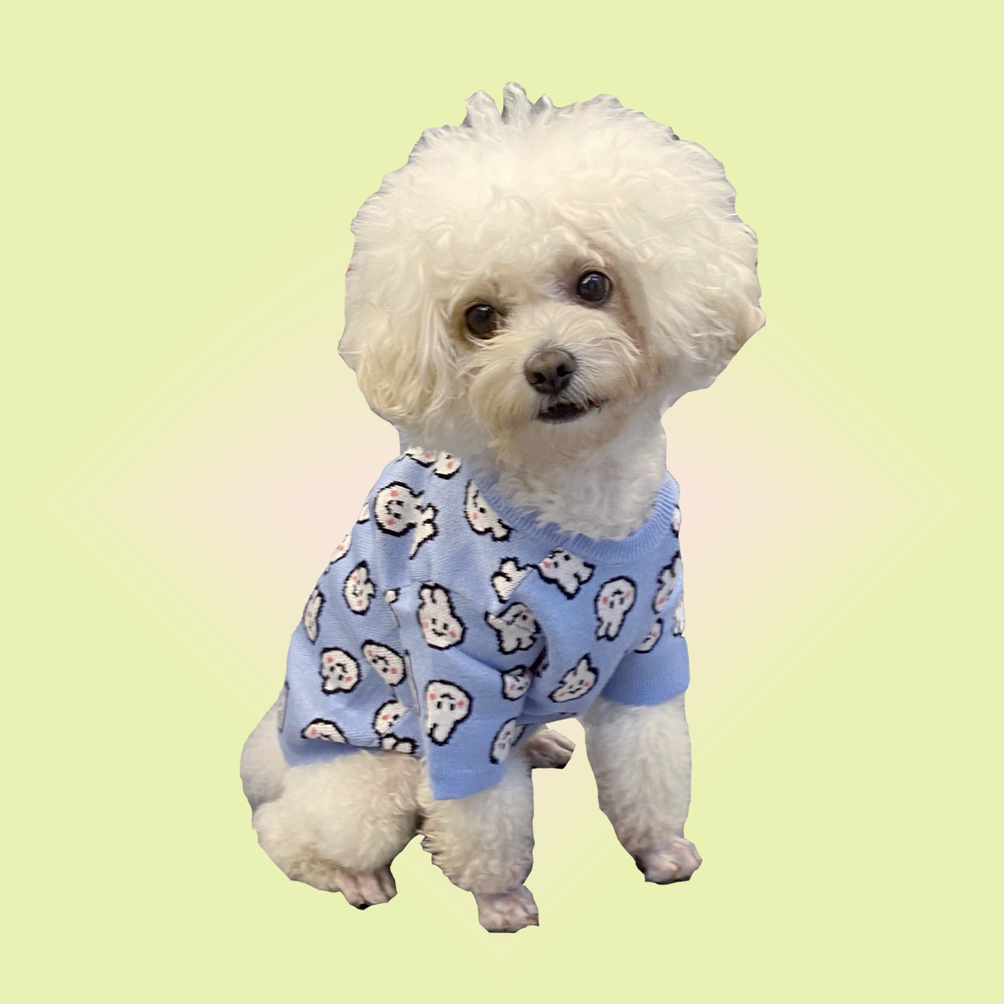 Blue Bunny Sweater for Dogs and Cats - Lil Wild Pets