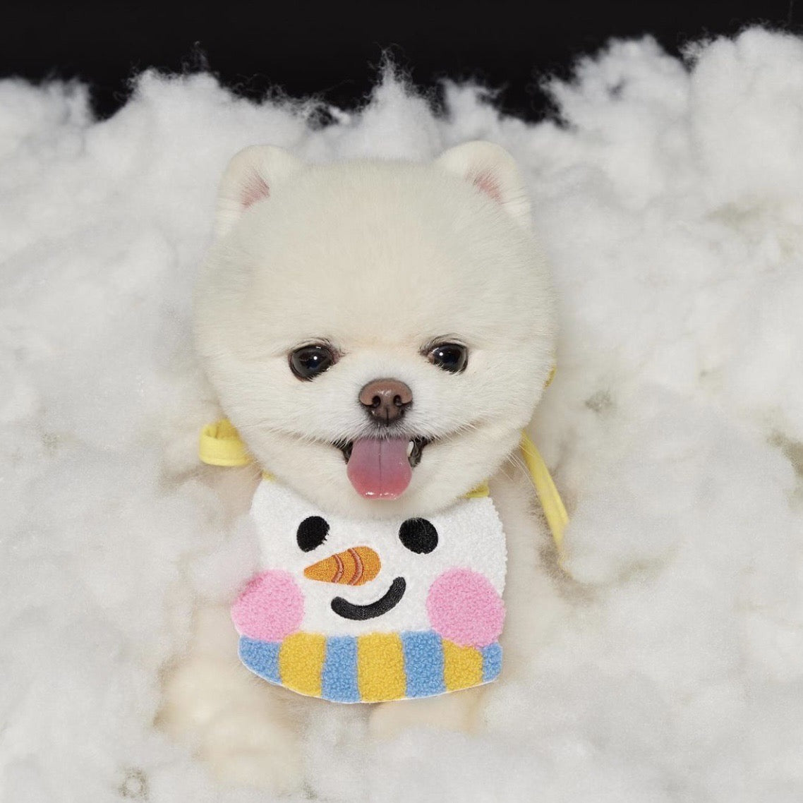 Clothing & Costumes - Christmas Adjustable Bib - Lil Wild Pets