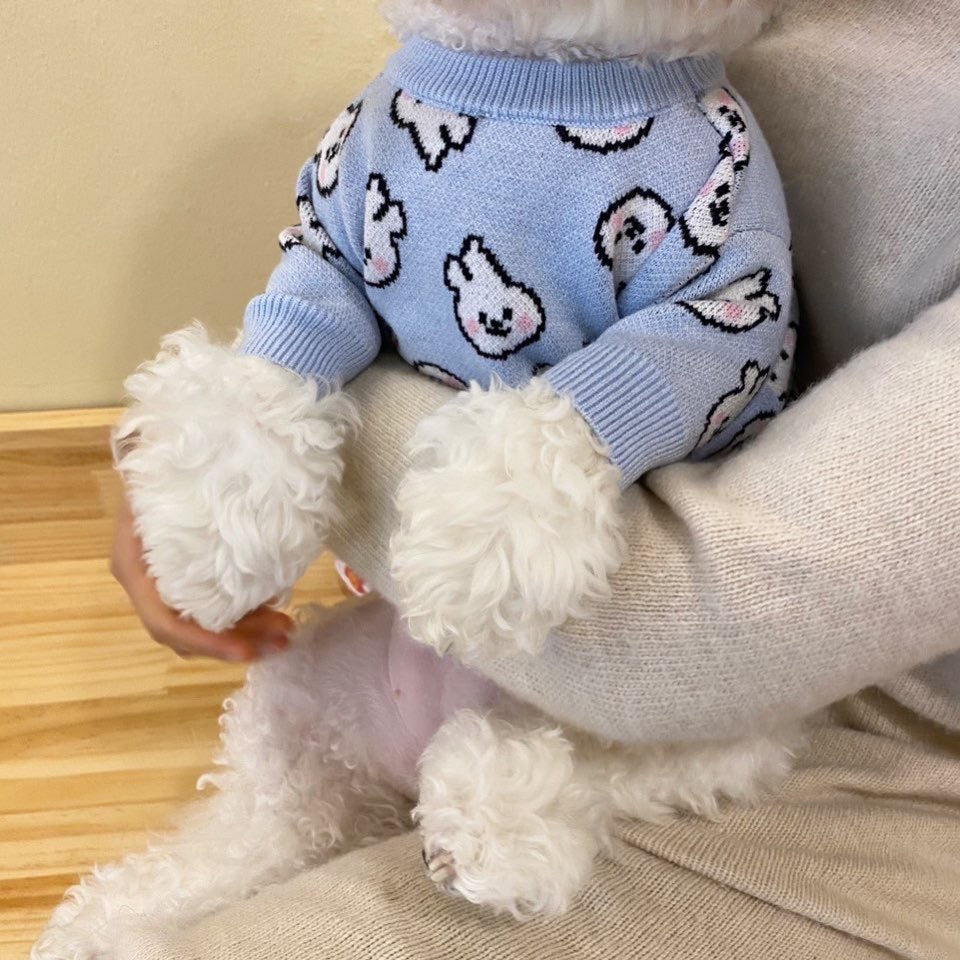 Blue Bunny Sweater for Dogs and Cats - Lil Wild Pets