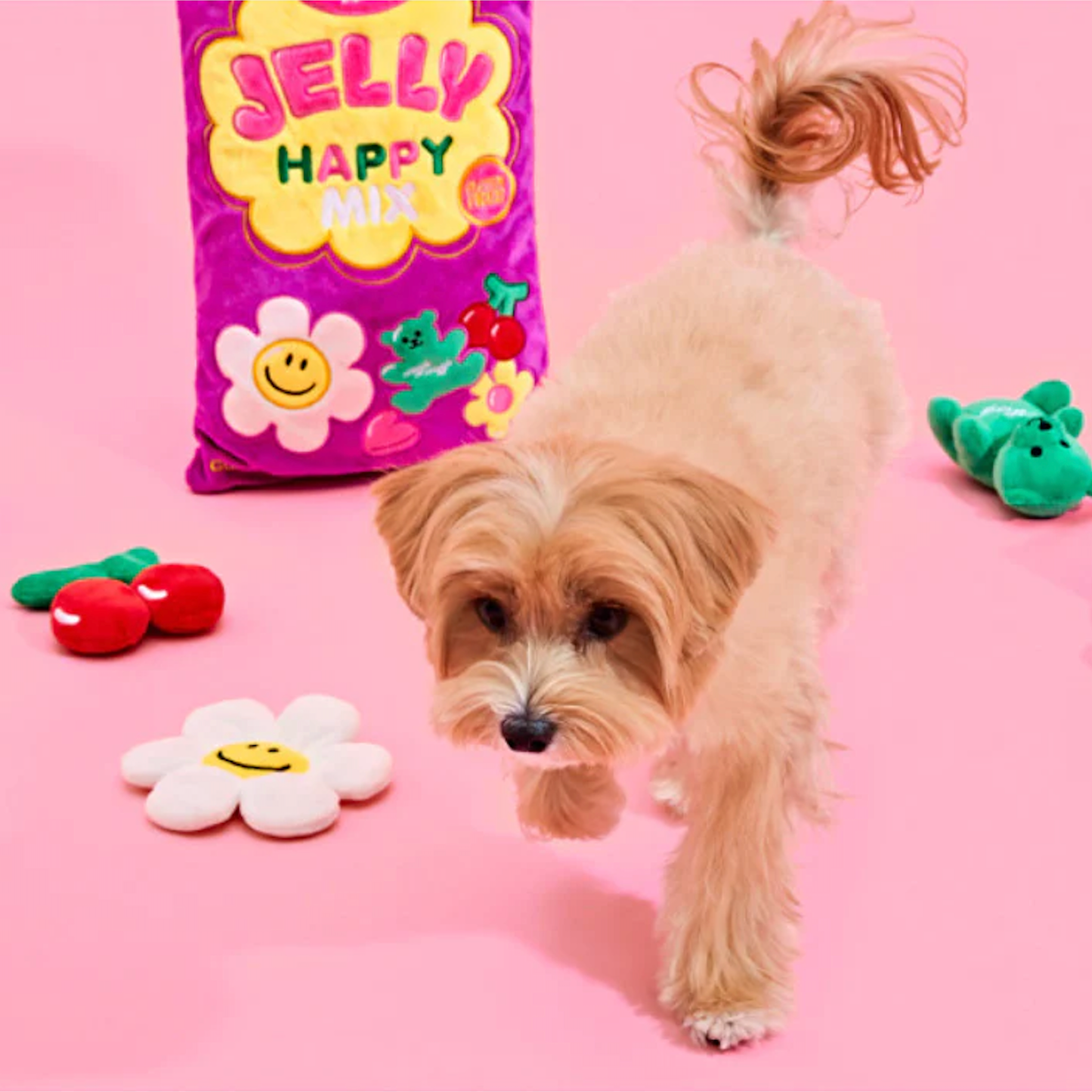 Multi Packs - Jelly Happy Mix Hide and Seek Plush Toys - Lil Wild Pets