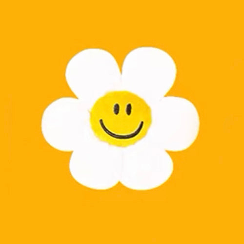 Multi Packs - Jelly Happy Mix Hide and Seek Plush Toys - Lil Wild Pets