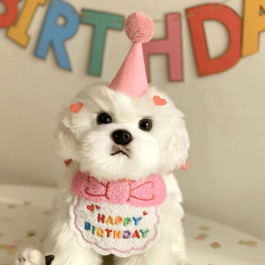 Pet Birthday Celebration Accessories Hat and Bib for Cats and Dogs - Lil Wild Pets