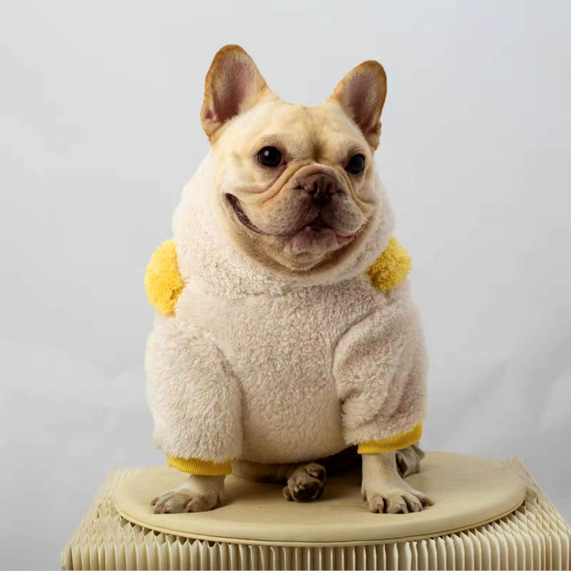 Spongebob Fluffy Fleece Teddy Hoodie for Cats and Dogs - Lil Wild Pets