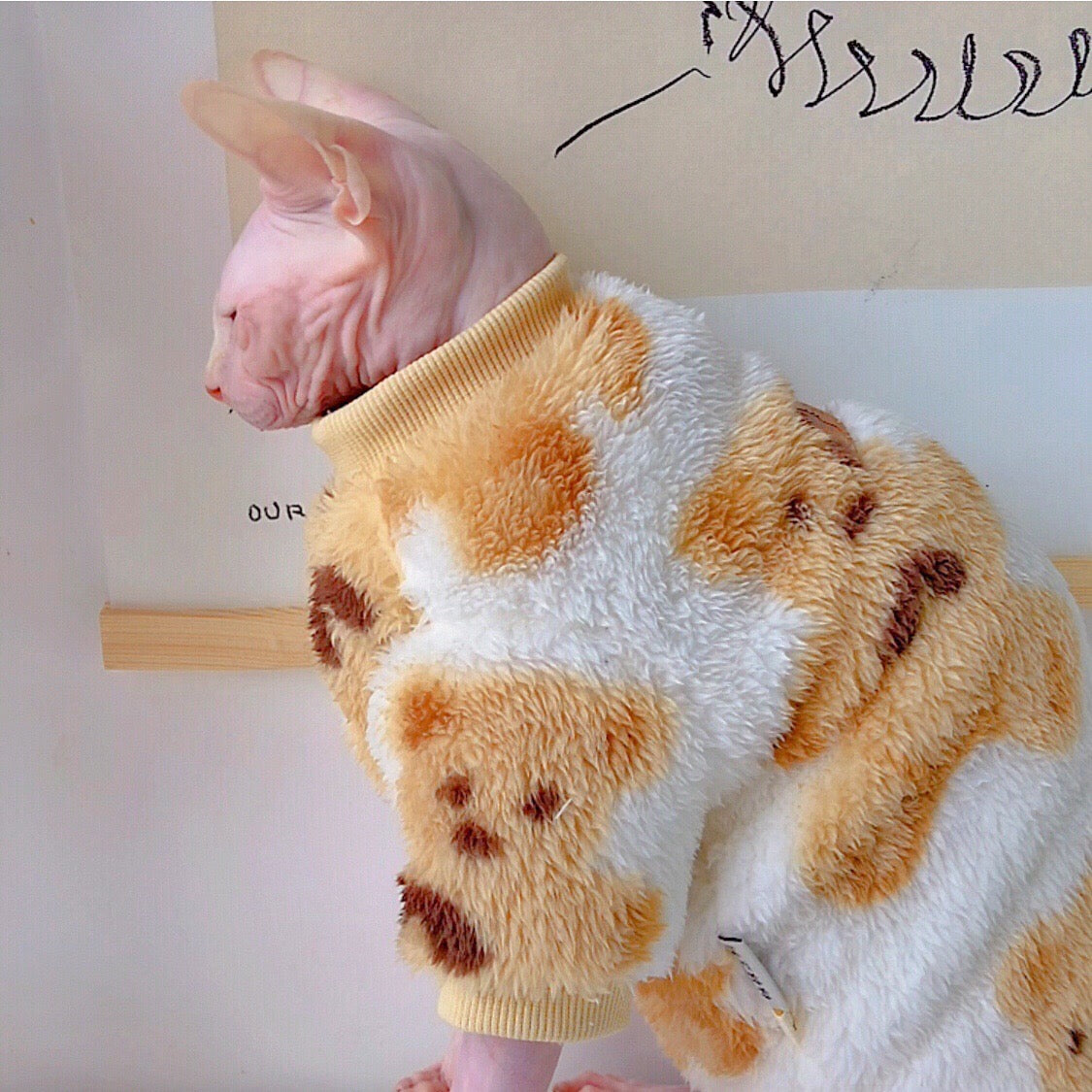 Teddy Bear Fleece Onesie Sweater for Sphynx and Devon Rex Cats - Lil Wild Pets