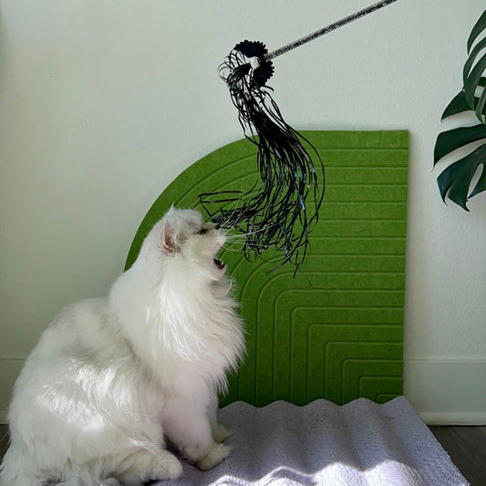 White & Black Angle Wing Teaser Wand Toy with Strings for Cats - Lil Wild Pets