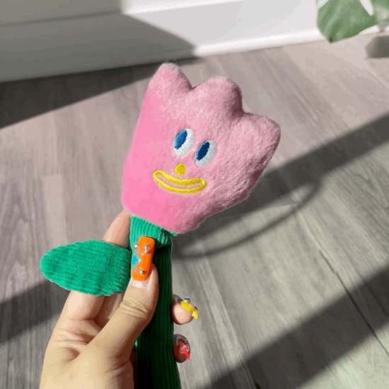 Funky Character Extra Long Crinkle Teaser Wand Toy for Cats - Lil Wild Pets