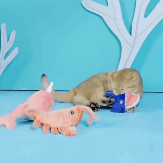 Flopping Fish Electric Interactive Self-Play Cat Toy with Catnip - Lobster & Wheal & Shark - Lil Wild Pets