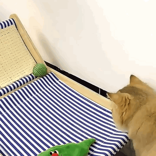 Three Beans in a Pea Pod Interactive Cat Chaser Toys with Sound - Lil Wild Pets