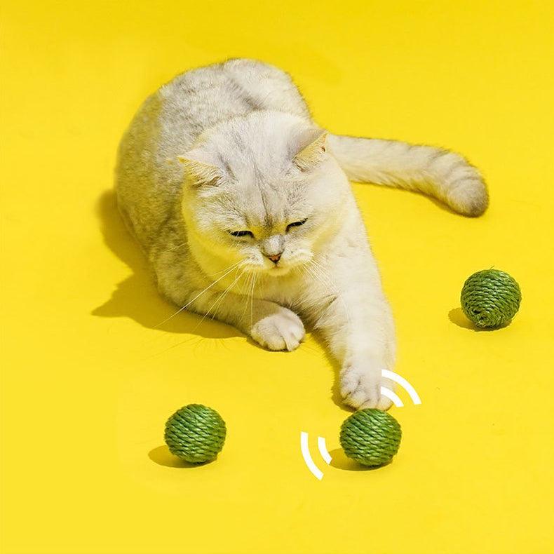 Three Beans in a Pea Pod Interactive Cat Chaser Toys with Sound - Lil Wild Pets