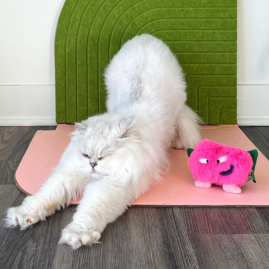 Plush Peach Crinkle Cat Toy with Catnip - Lil Wild Pets