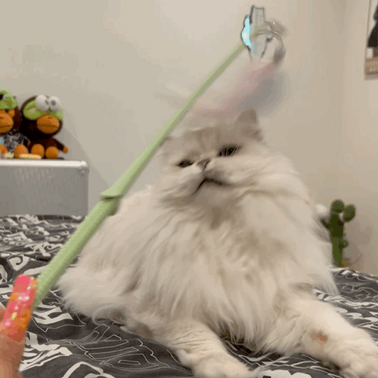 Corn & Cactus Teaser Wand Toy with Feathers for Cats - Lil Wild Pets