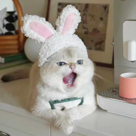 Bunny Adjustable Pet Hat for Cats and Dogs - Lil Wild Pets