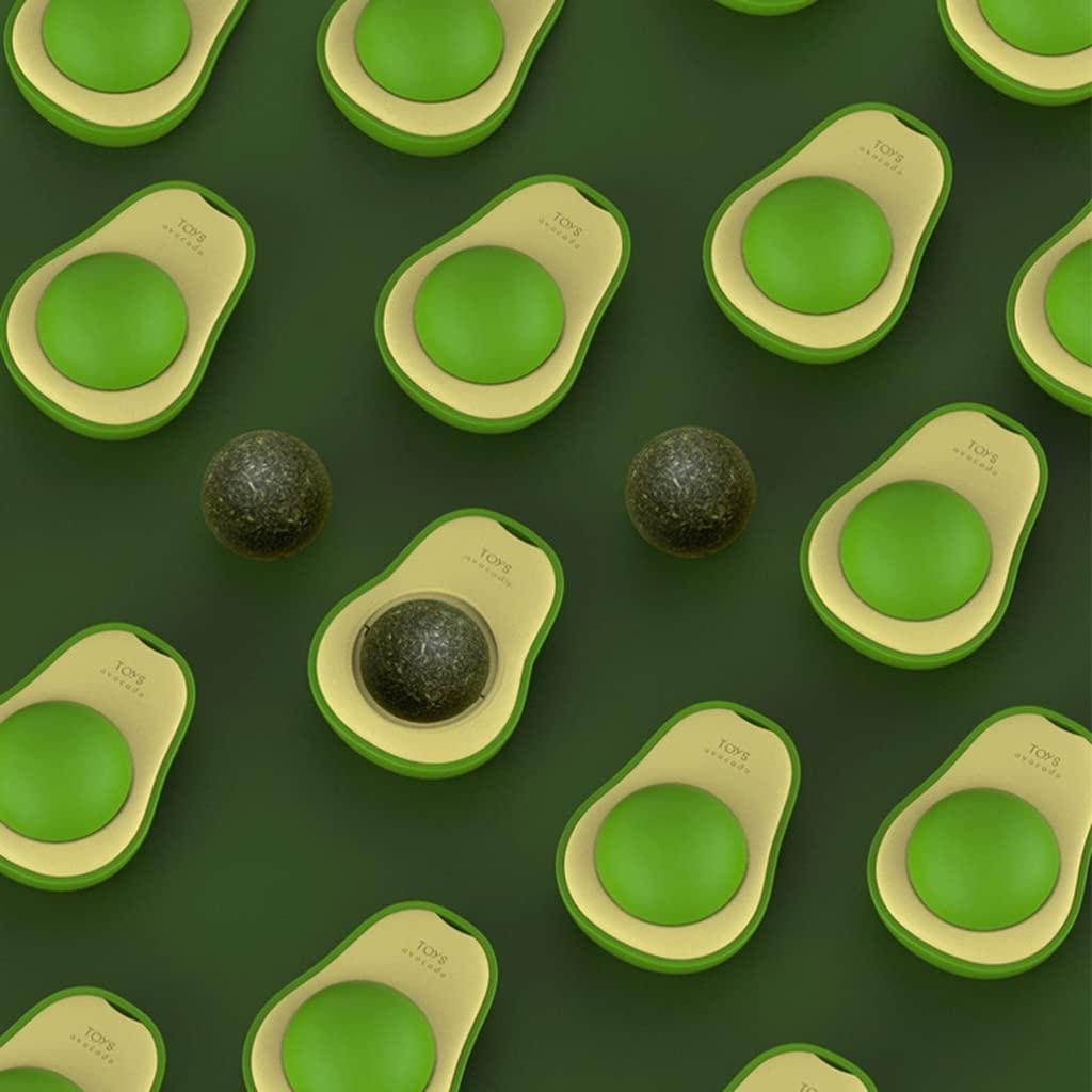 WHAT IS CATNIP  what-is-catnip