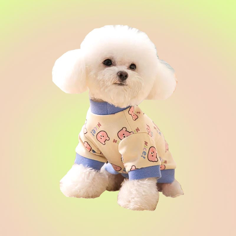 How to Take Your Pup on a Spring Nature Walk in Lil Wild Pet's New Summer Collection