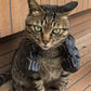 Lil Wild Pets Halloween Exclusive Green Hulk Cat Arms