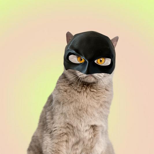 Lil Wild Pets Exclusive Batcat Hat for Cats and Dogs