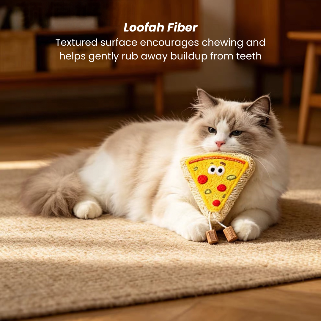 Silvervine Loofah Cat Dental Chew Toy – Pizza & Donut - Lil Wild Pets