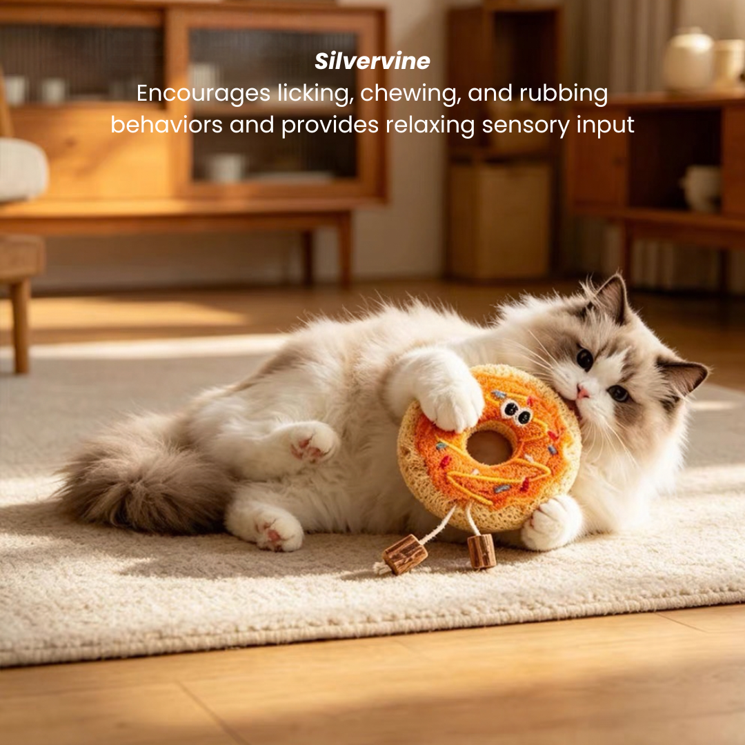Silvervine Loofah Cat Dental Chew Toy – Pizza & Donut - Lil Wild Pets