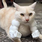 Lil Wild Pets Halloween Exclusive Green Hulk Cat Arms