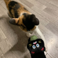 Catnip Ball Cuddle Black Cat Plush Toy