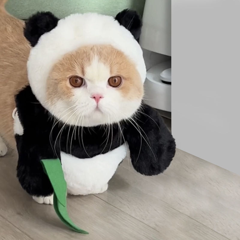 Panda cat outlet costume