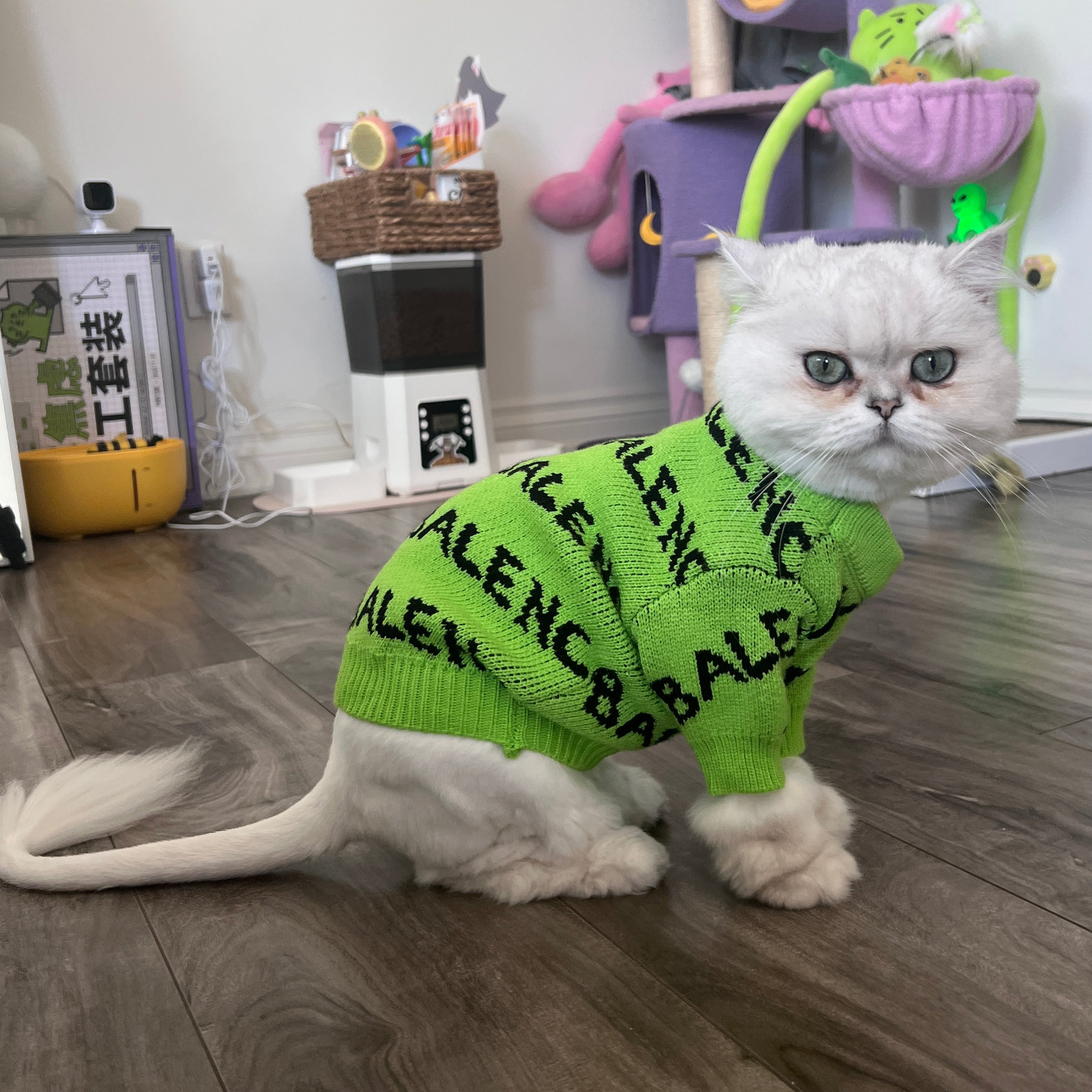 Sweater that holds outlet a cat