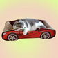 Sports Car Cat Scratchers