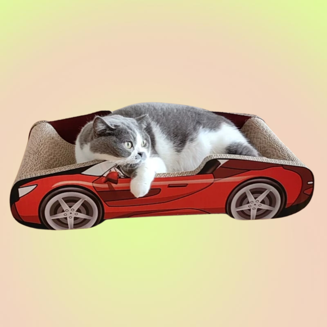 Sports Car Cat Scratchers