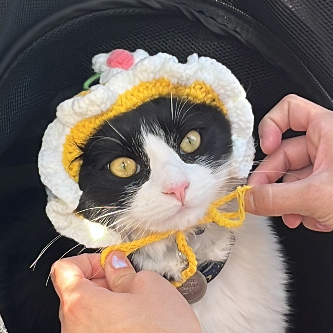 Pet Adjustable Knitting Hat with Ear Holes for Cats and Dogs - Yellow Flower - Lil Wild Pets