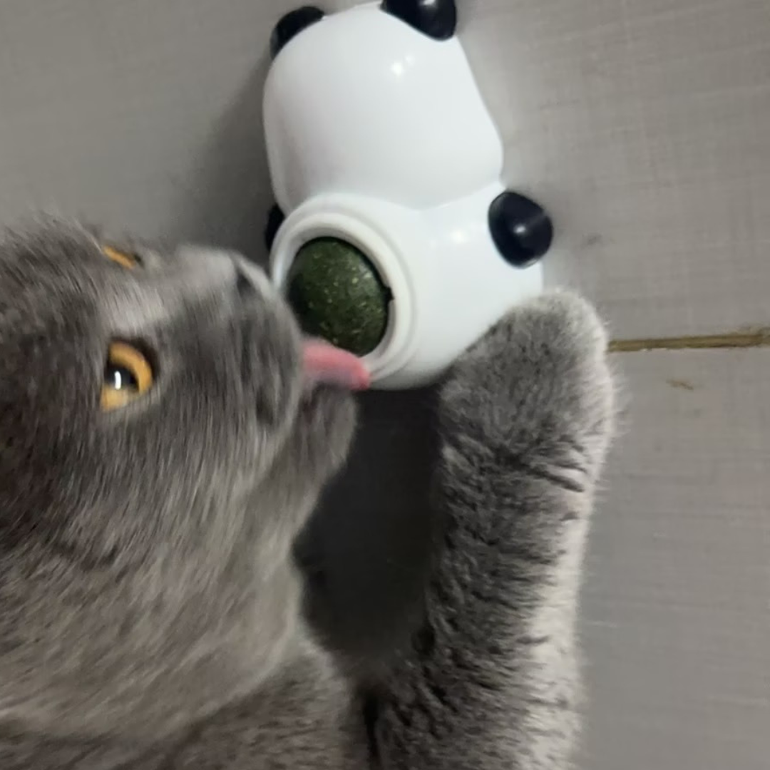 Panda Catnip Ball Wall-Mounted Lickable Cat Toy