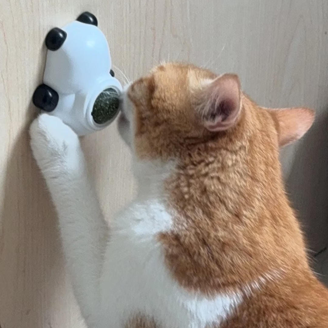 Panda Catnip Ball Wall-Mounted Lickable Cat Toy