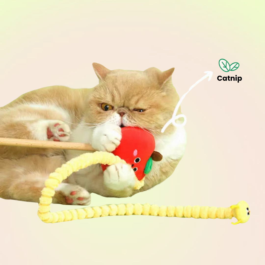 Catnip Apple Fuzzy Caterpillar Cat Teaser Wand Toy