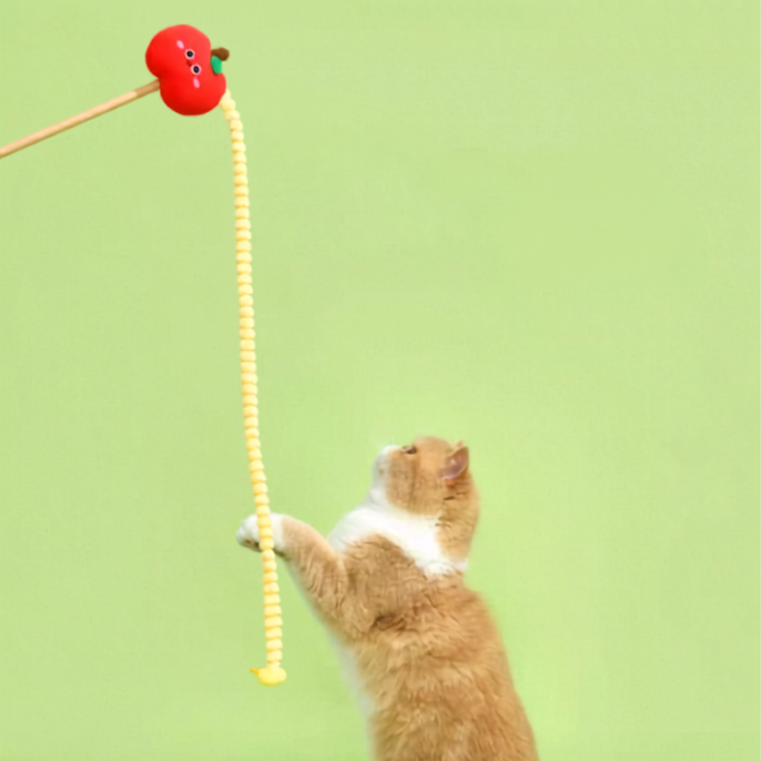 Catnip Apple Fuzzy Caterpillar Cat Teaser Wand Toy