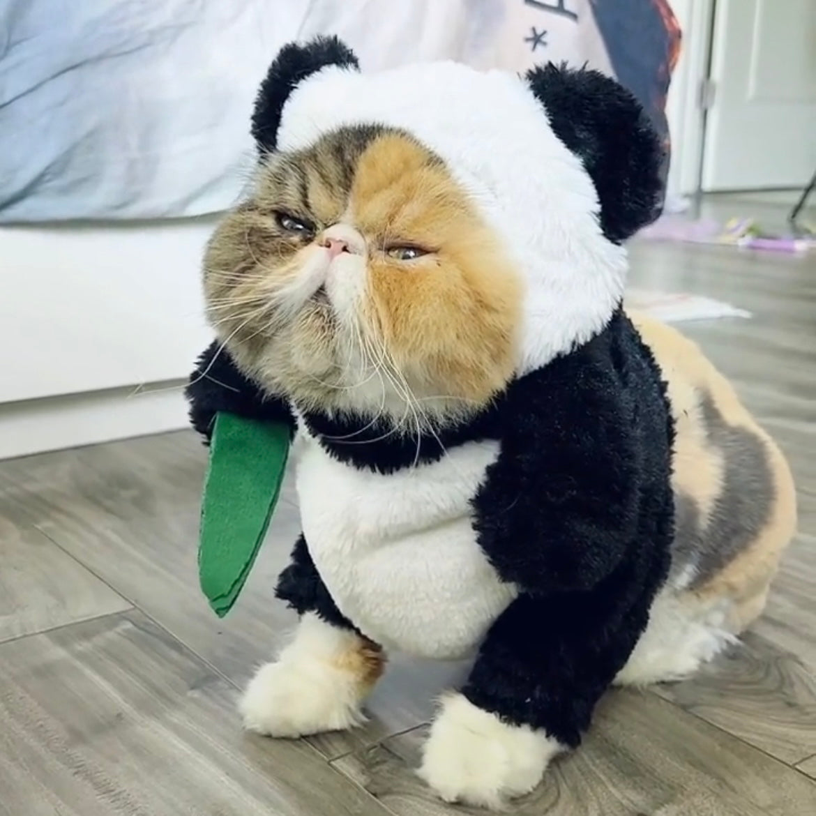 Panda with Bamboo Costume for Cats and Dogs - Lil Wild Pets