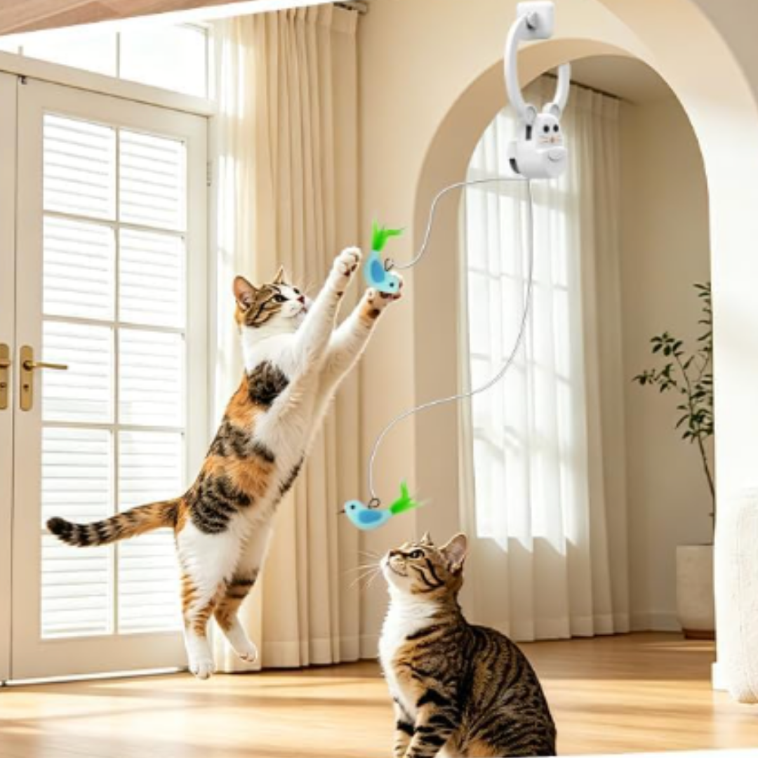Rechargeable Interactive Flying Bird Cat Toy – Hanging Feather Wand for Indoor Cats - Lil Wild Pets