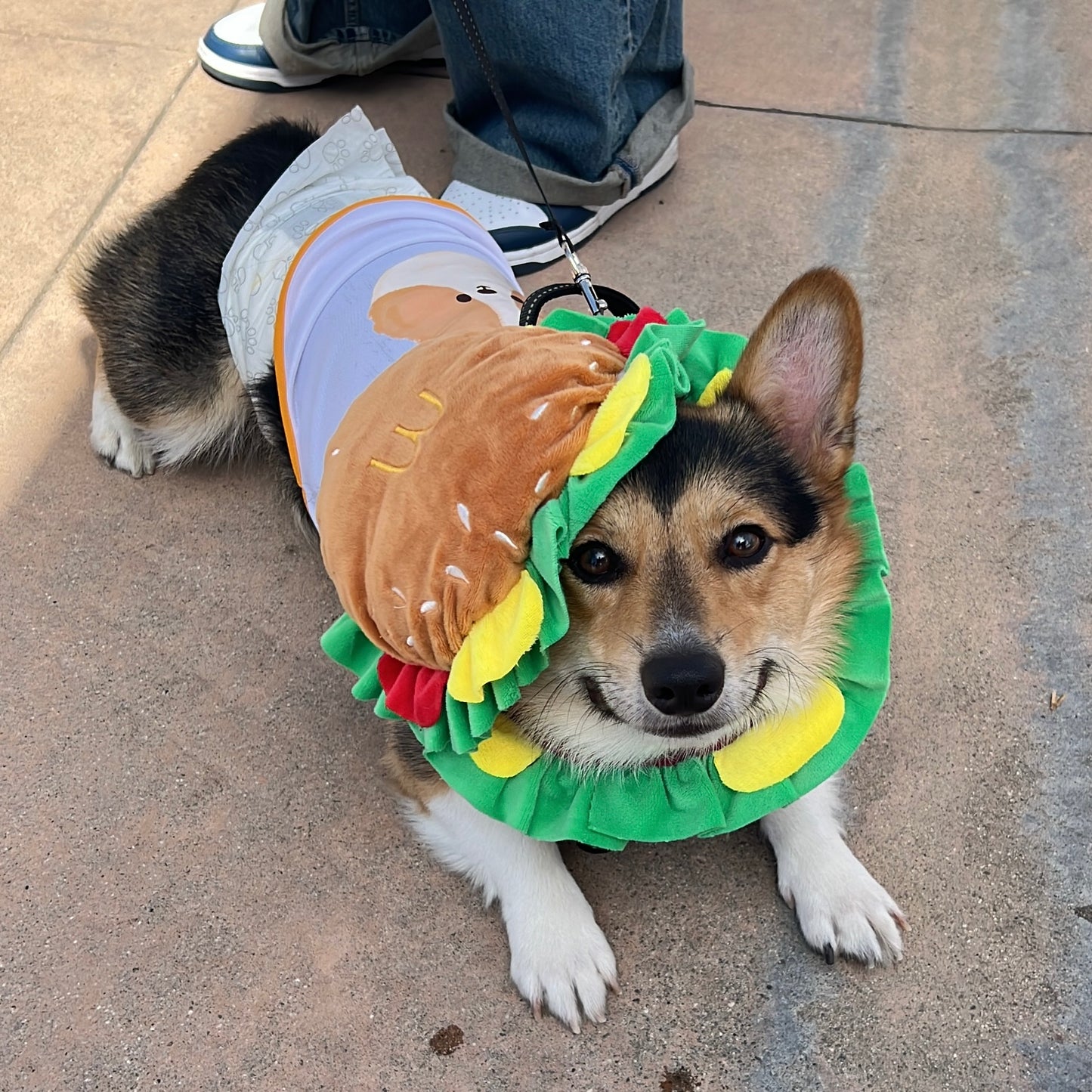 Pet Burger Plush Hat for Cats and Dogs