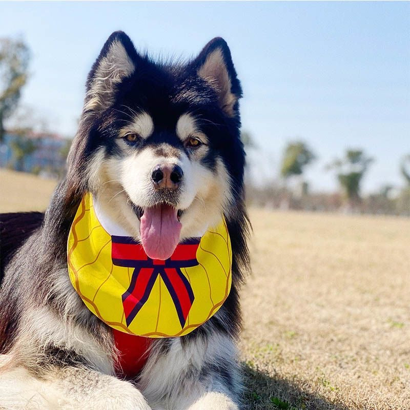 Bibs for outlet dogs