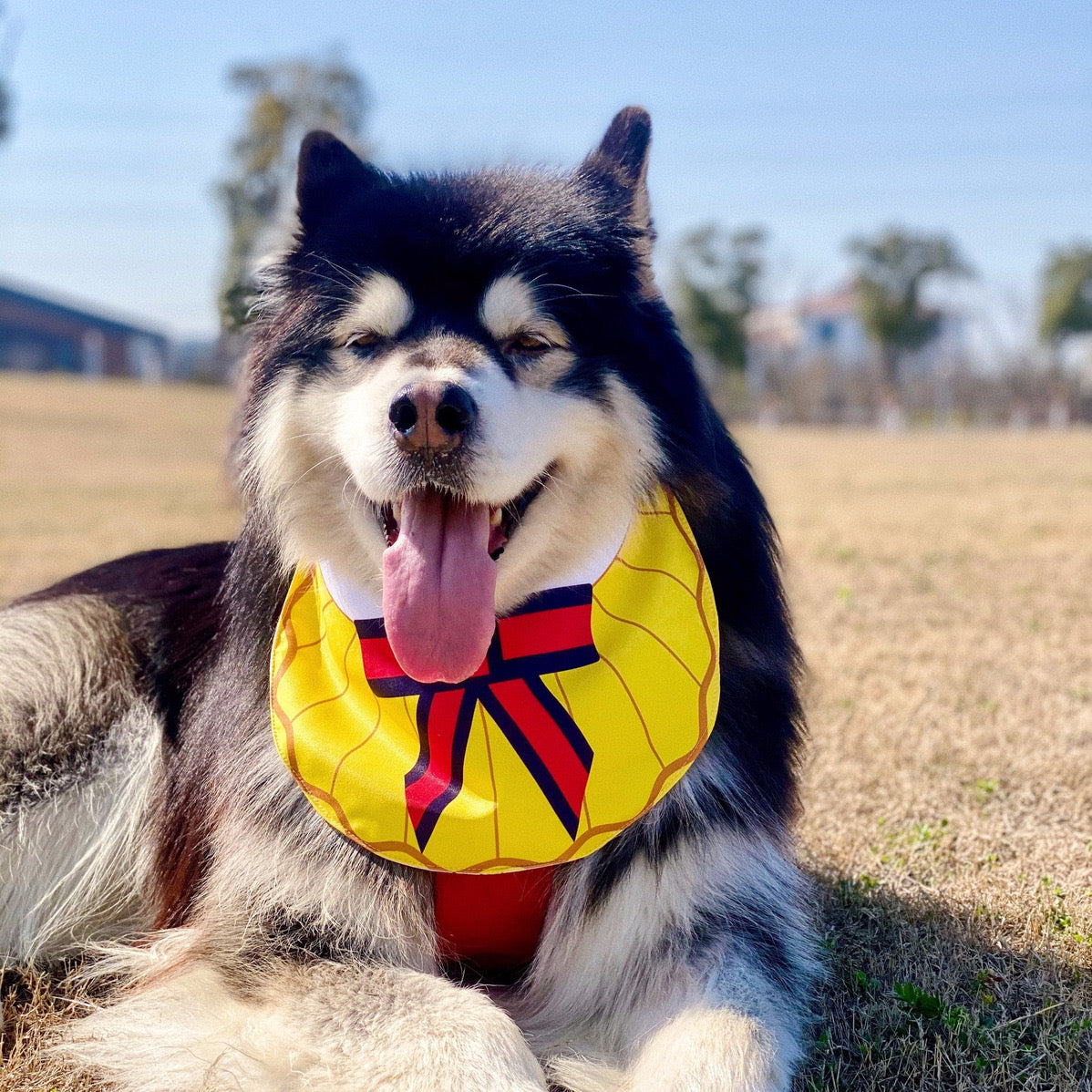 Dog sales slobber bib