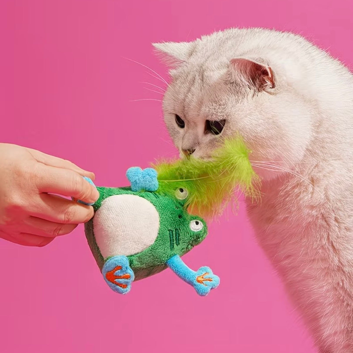 Touch-Activated Green Frog Catnip Feather Sound Cat Toy