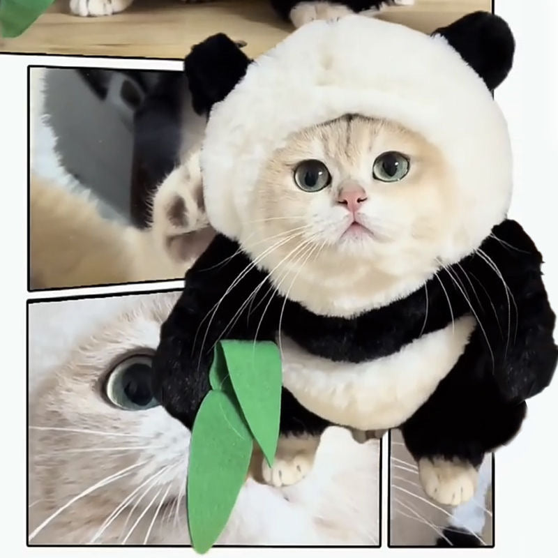 Panda with Bamboo Pet Halloween Costume for Cats and Dogs - Lil Wild Pets