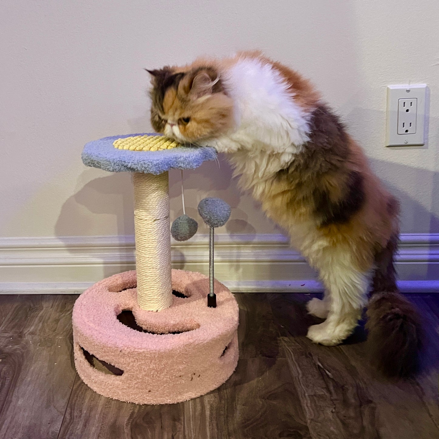 Flower Kitten Scratching Tower with Interactive Toy