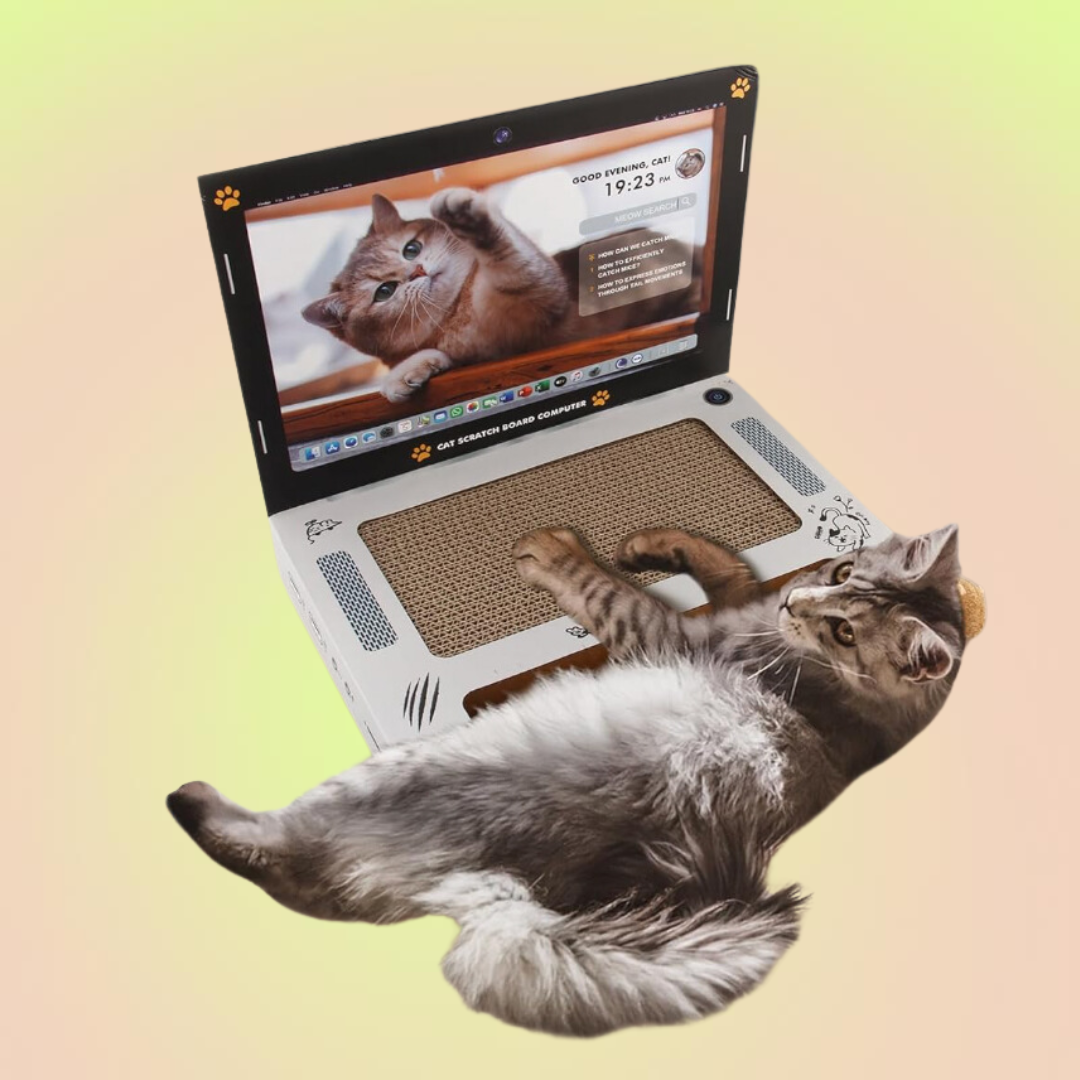 Cat Laptop Cardboard Scratcher