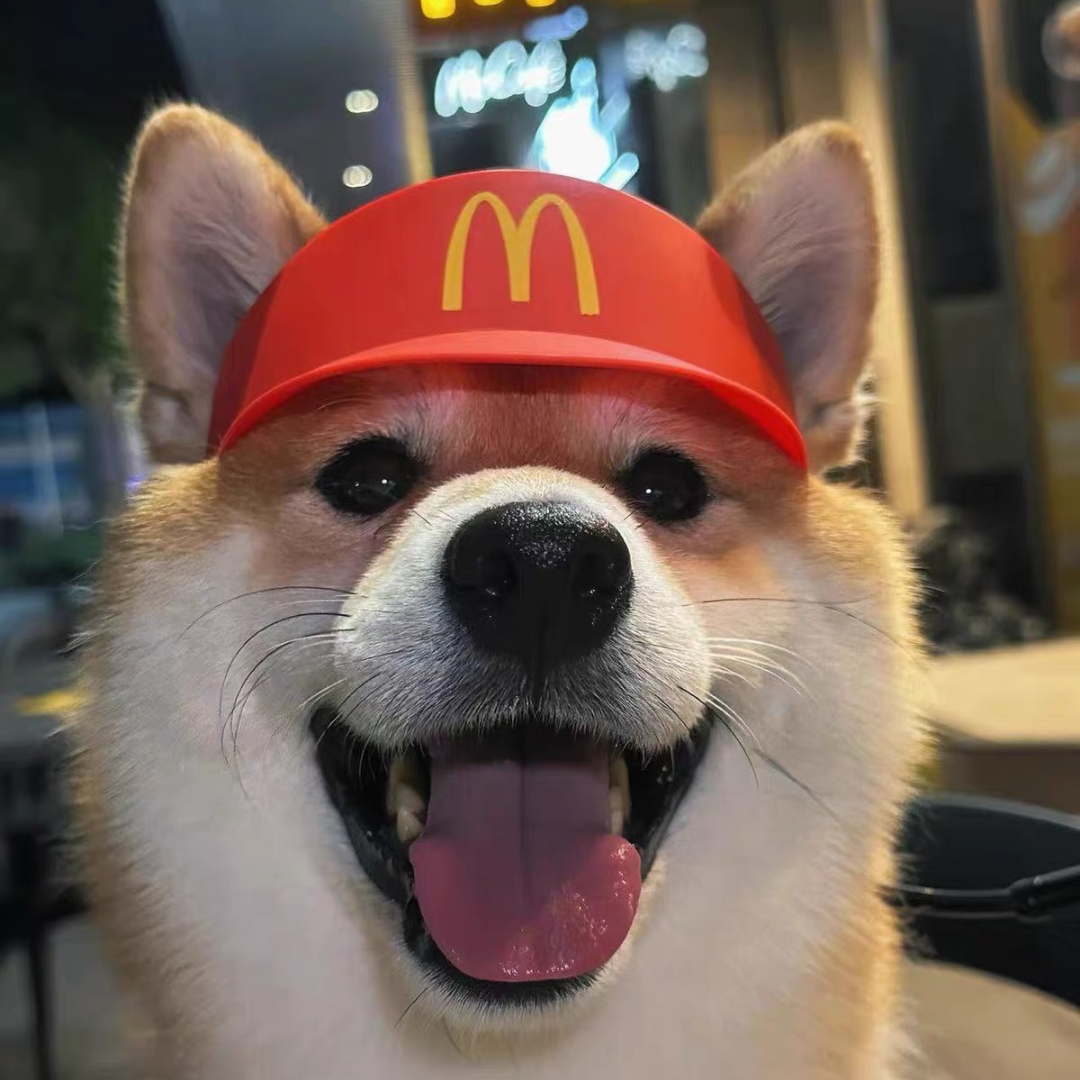 Halloween Fast Food Hat for Cats & Dogs