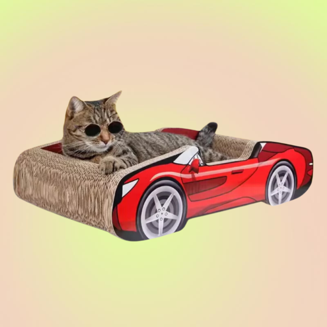 Sports Car Cat Scratchers