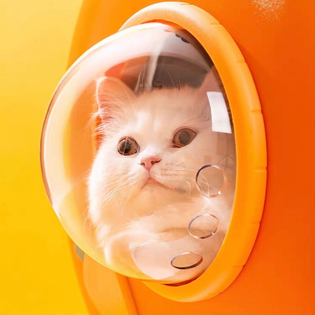 Spaceship backpack for cats online