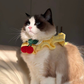 Handmade Knit Pink Cherry 🍒 Collar for Cats and Dogs