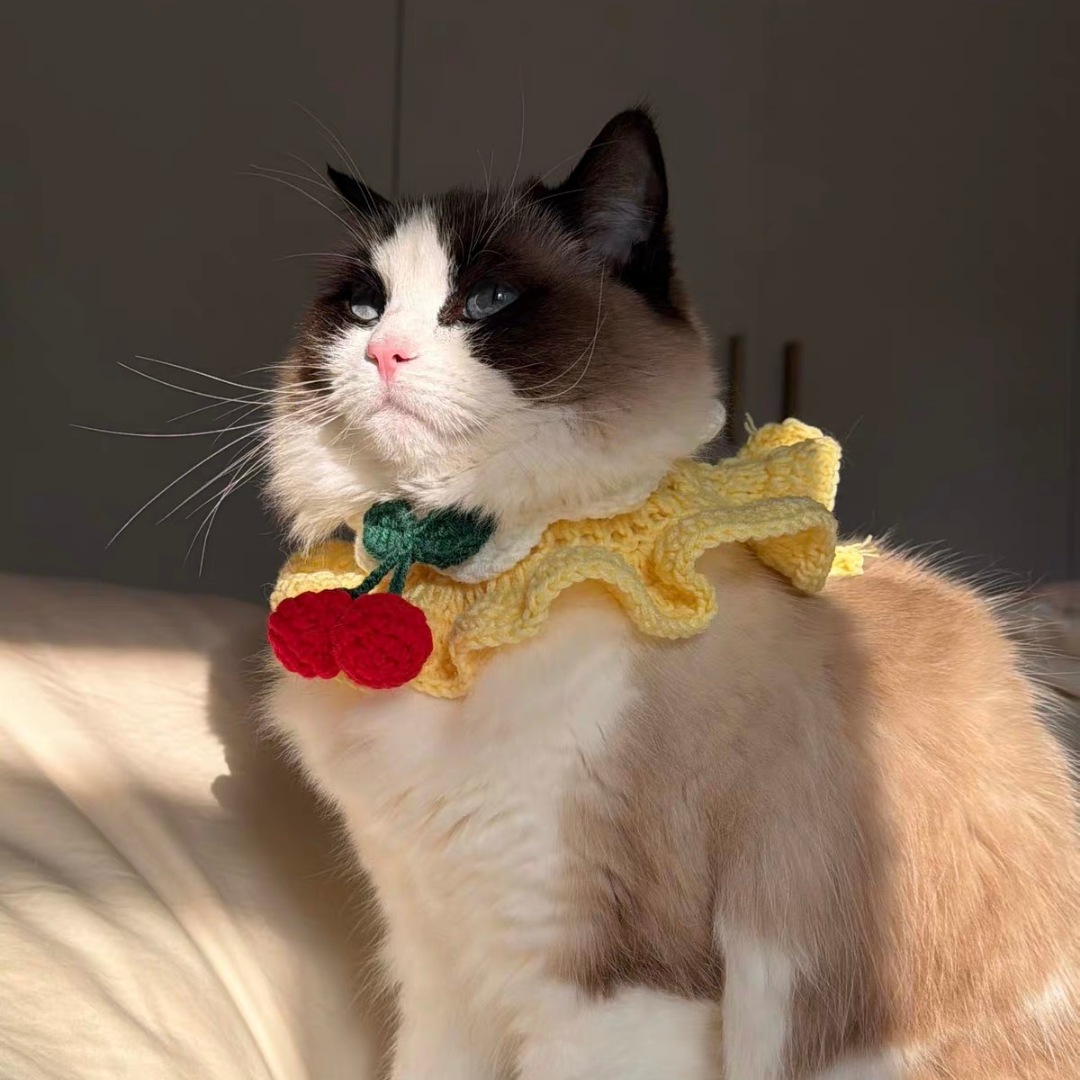 Handmade Knit Pink Cherry 🍒 Collar for Cats and Dogs