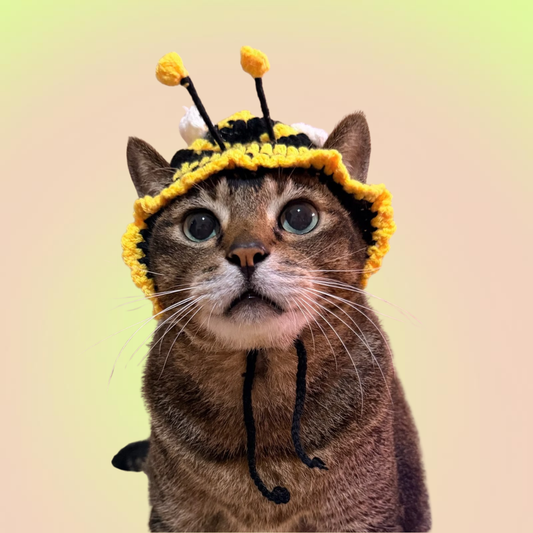 Halloween Pet Adjustable Knit Bee Hat for Cats and Dogs - Lil Wild Pets