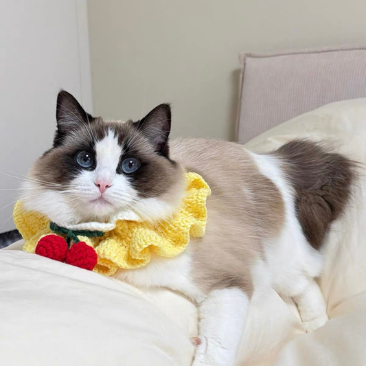 Handmade Knit Pink Cherry 🍒 Collar for Cats and Dogs
