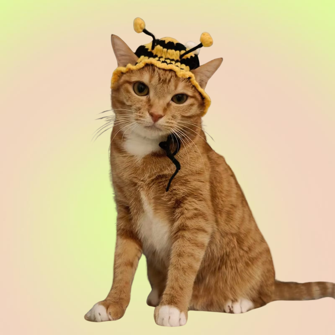 Halloween Pet Adjustable Knit Bee Hat for Cats and Dogs - Lil Wild Pets